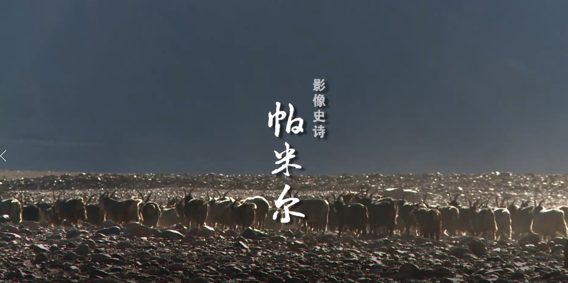 刘湘晨作品 帕米尔影像史诗预告--冬牧场